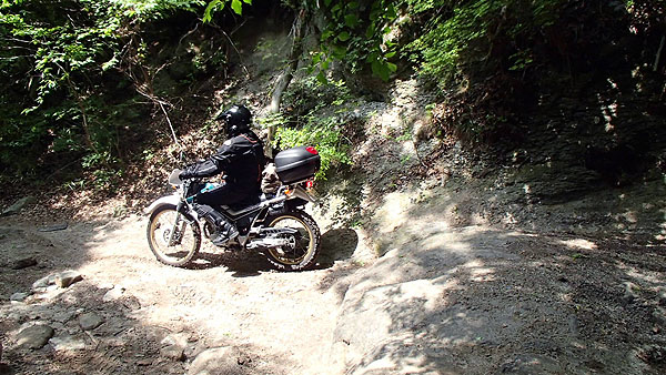 県道２１８号線